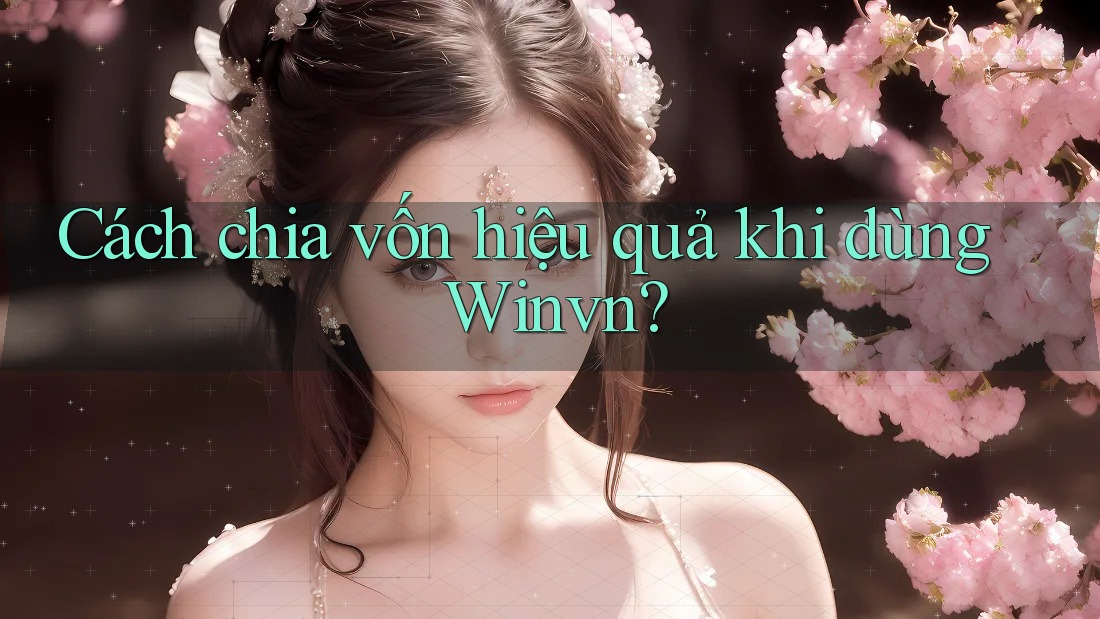 Cách chia vốn hiệu quả khi dùng Winvn?