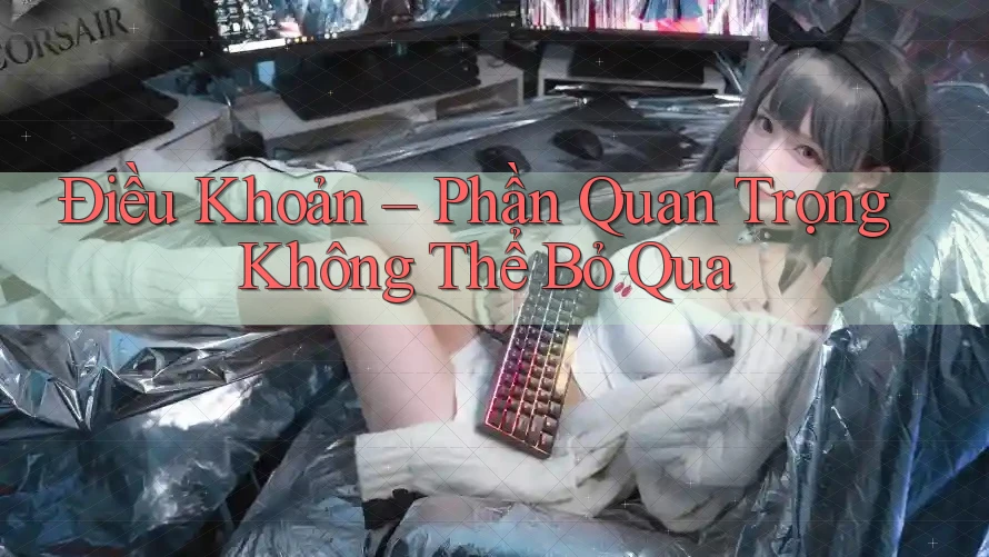 Điều Khoản – Phần Quan Trọng Không Thể Bỏ Qua Điều Khoản – Phần Quan Trọng Không Thể Bỏ Qua