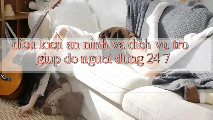 Điều kiện An ninh Và Dịch Vụ Trợ giúp đỡ Người dùng 24/7 Điều kiện An ninh Và Dịch Vụ Trợ giúp đỡ Người dùng 24/7
