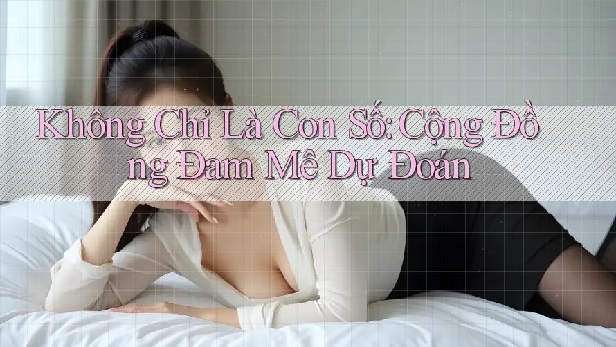 Không Chỉ Là Con Số: Cộng Đồng Đam Mê Dự Đoán