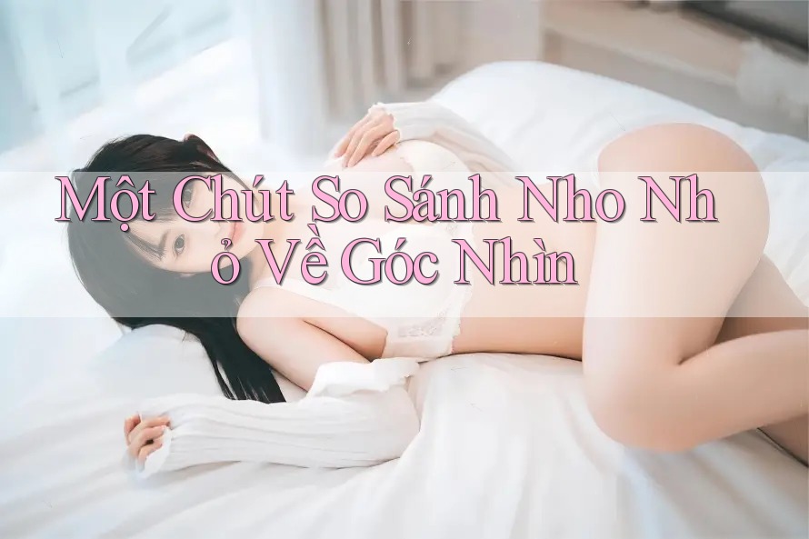 Một Chút So Sánh Nho Nhỏ Về Góc Nhìn Một Chút So Sánh Nho Nhỏ Về Góc Nhìn