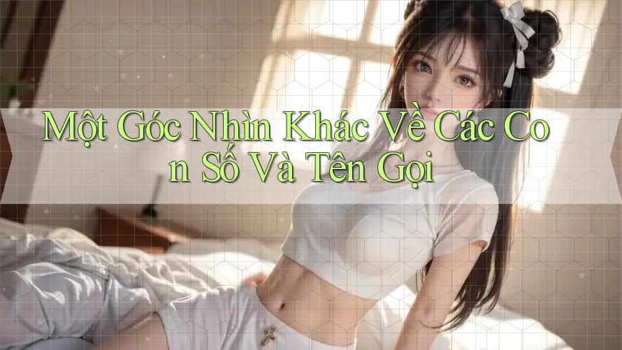 Một Góc Nhìn Khác Về Các Con Số Và Tên Gọi Một Góc Nhìn Khác Về Các Con Số Và Tên Gọi