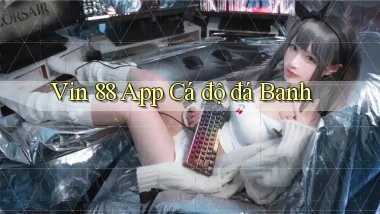 vin 88 app cá độ đá banh